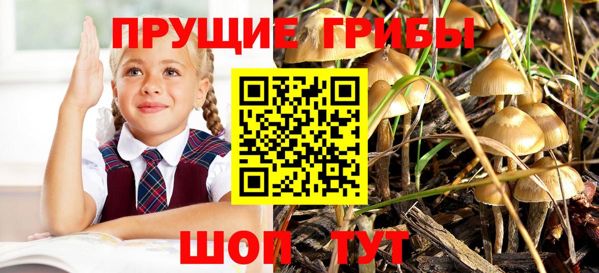 Кыштым  Галлюциногенные грибы GOLDEN TEACHER  Галлюциногенные грибы ЛСД  Вход с VPN 